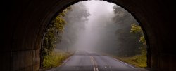 Vignette de [Marketing] Les différents tunnels et scénarios de vente